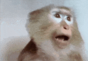 a close up of a monkey making a funny face .