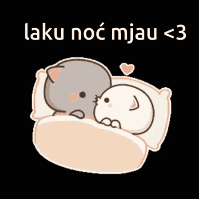 a cartoon of two cats laying in a bed with the words laku noc mjau < 3 below them