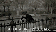 a black and white photo of a man leaning on a fence with the words bit of a breeze today