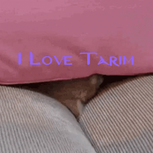 I Love Tarim GIF - I Love Tarim Tarim GIFs