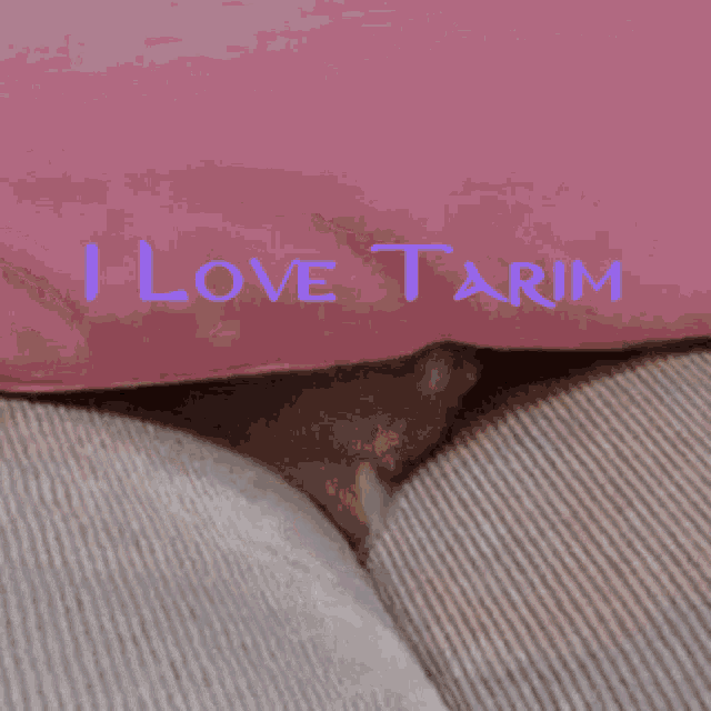 a kitten is laying on a couch with the words " i love tarim " written above it