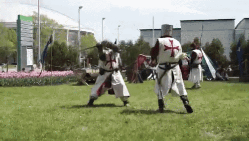 a group of knights are fighting in a grassy field