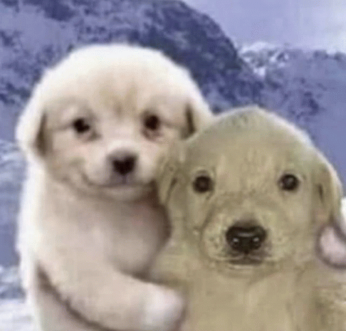 Dog2dogs GIF - Dog2dogs GIFs