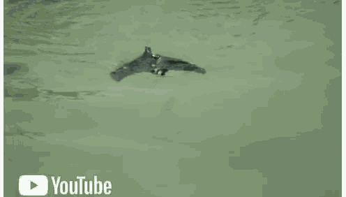 a drone is flying over a body of water in a youtube video .