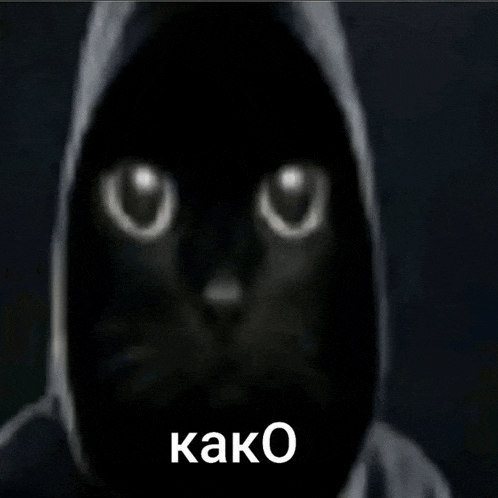 a black cat wearing a hooded jacket with the word kako on the bottom right