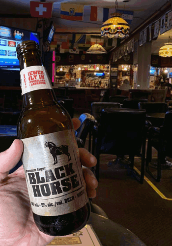 Black Horse Newfoundland GIF - Black Horse Newfoundland Beer GIFs