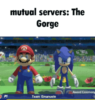 mario and sonic are standing next to each other in a video game with the caption mutual servers : the gorge
