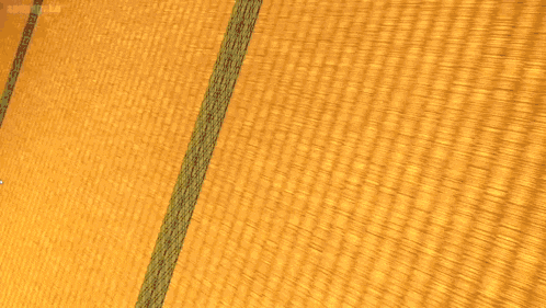 a close up of a yellow striped fabric with a green stripe on it .