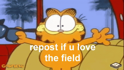 Garfield The Field GIF - Garfield The Field Fielders GIFs
