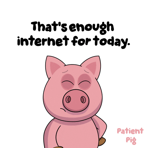 a cartoon pig with the words that 's enough internet for today below it