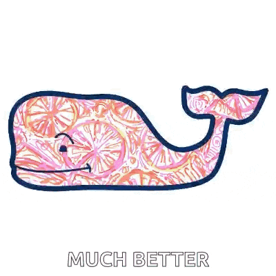 a whale with a pattern on it and the words `` much better '' under it .