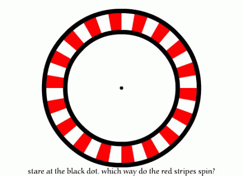 Stare At The Black Dot Which Way Do The Red Stripes Spin? GIF - Optical Illusion Illusion Eye Trick GIFs