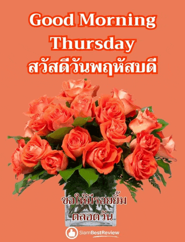 a bouquet of orange roses in a vase with the words " good morning thursday "
