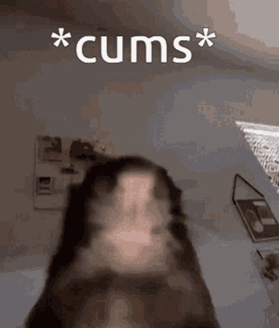 a close up of a person 's face with the words `` cums '' written on the bottom .