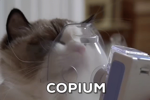 Copium Cat GIF - Copium Cat - Discover & Share GIFs