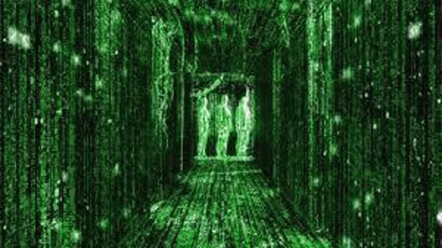 The Matrix Has You GIF - The Matrix Has You GIFs