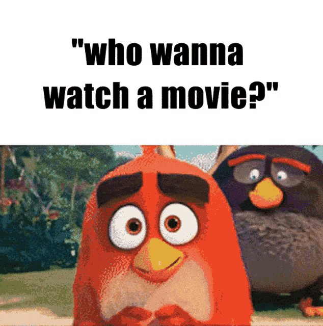 Discord Movie GIF - Discord Movie Angry Birds GIFs