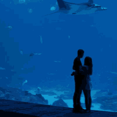 a man and woman are standing in front of an aquarium