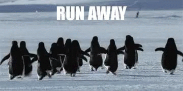 Run Bye GIF - Run Bye Penguins GIFs