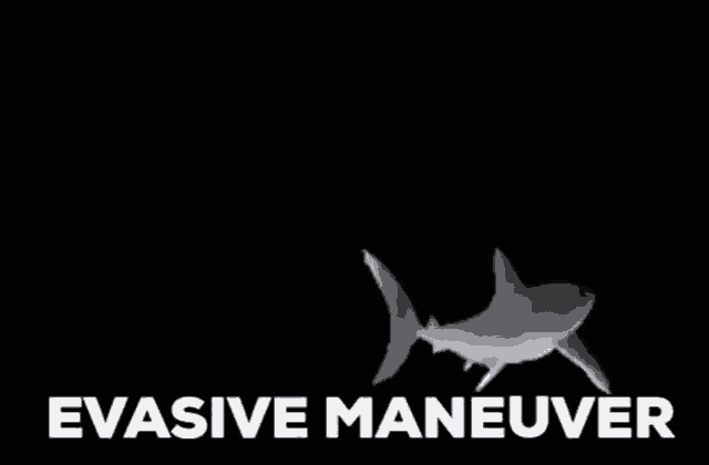 a picture of a shark with the words evasive maneuver above it