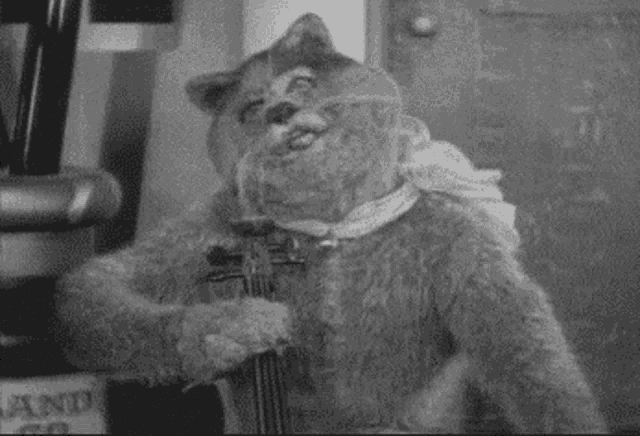 a black and white photo of a cat playing a violin