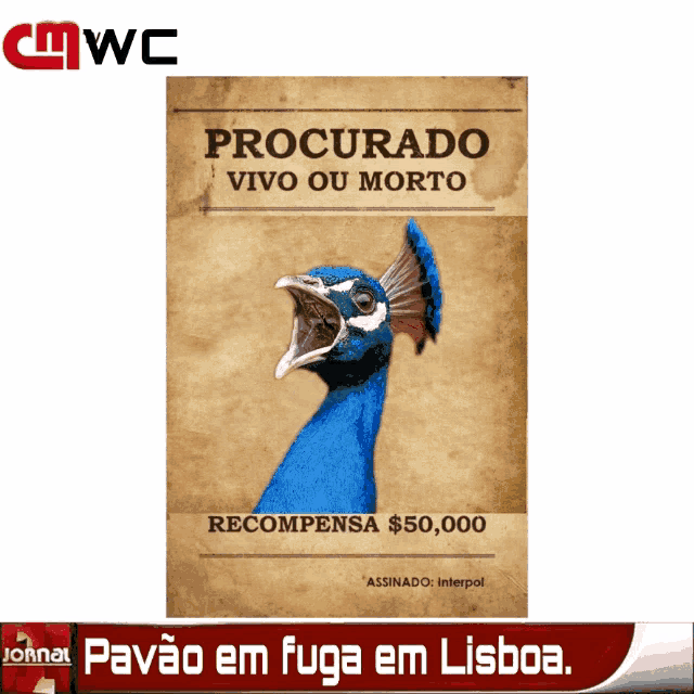 a wanted poster for a peacock with a reward of $ 50,000