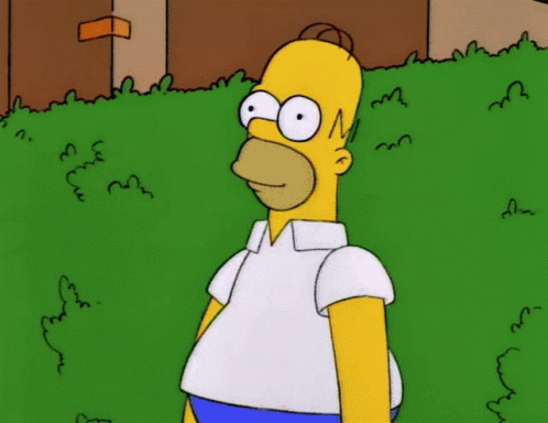 Homer Simpsons GIF - Homer Simpsons Aja GIFs
