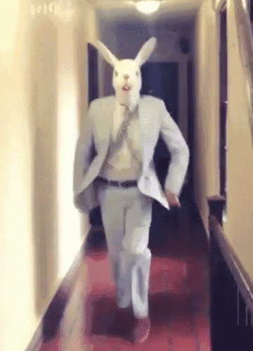 a man in a suit and tie with a rabbit mask on his head is walking down a hallway .