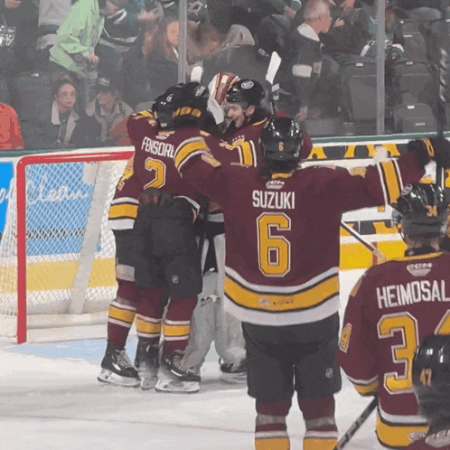 a hockey player wearing a maroon jersey with the number 6 on the back