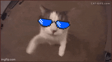 a close up of a cat wearing pixelated sunglasses with the website fs.com at the bottom