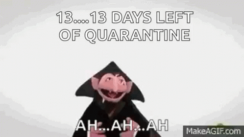 Number Of The Day Sesame Street GIF - Number Of The Day Sesame Street Days Left Of Quarantine GIFs