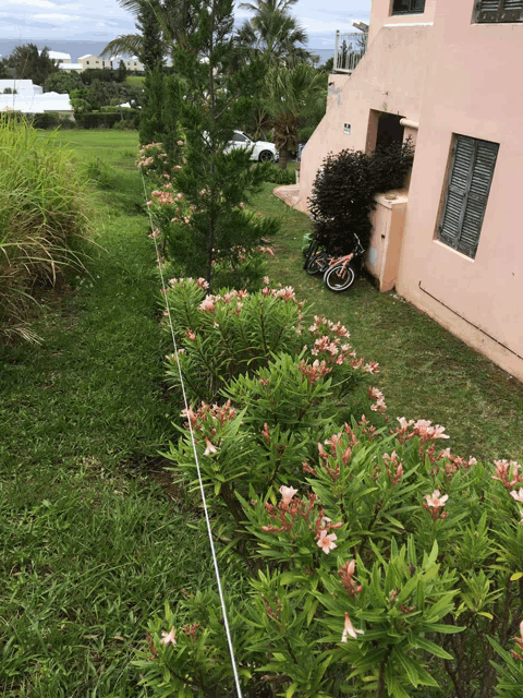 a bicycle is parked in the grass in front of a building