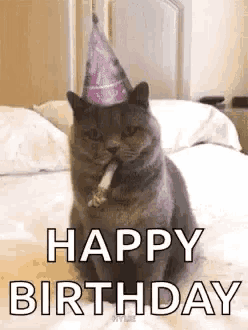 a cat wearing a party hat is sitting on a bed .