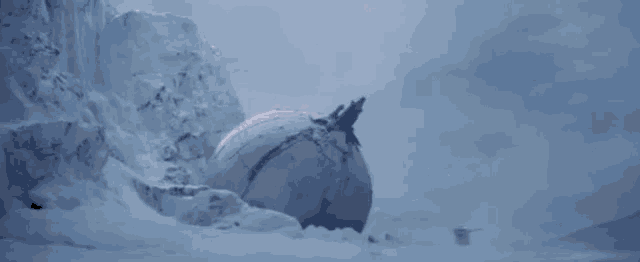 a large white ball is sitting in the middle of a snowy field .