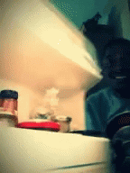 Hungry Nothingtoeat GIF - Hungry Nothingtoeat Starving GIFs