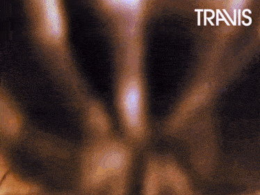 a blurred image of a basketball with the word travis in the upper right corner