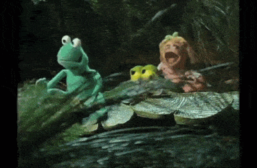 a green frog and a yellow frog are sitting on a lily pad in the water .