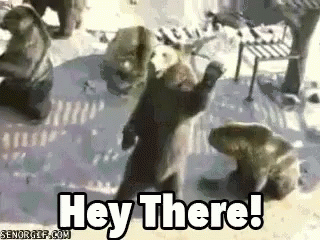 Hey There GIF - Heythere Bear GIFs