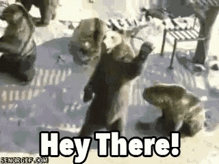 a group of bears standing next to each other in the snow with the words `` hey there ! ''