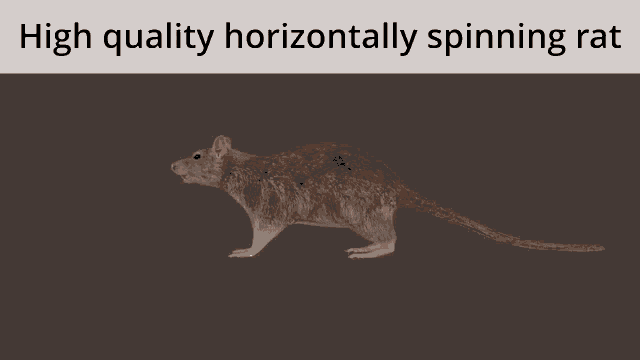 High Quality Horizonrally Spinning Rat 