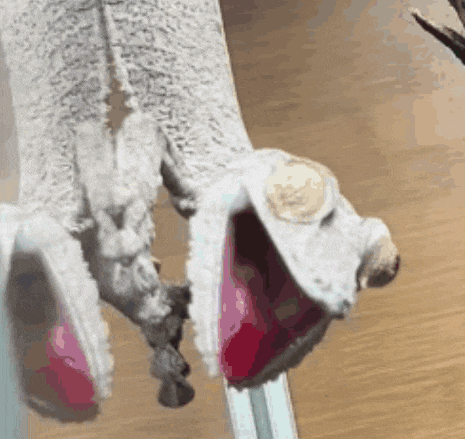 a close up of a pair of socks hanging on a clothesline