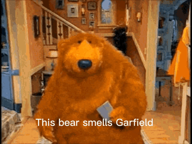 a cartoon bear says this bear smells garfield while holding a book