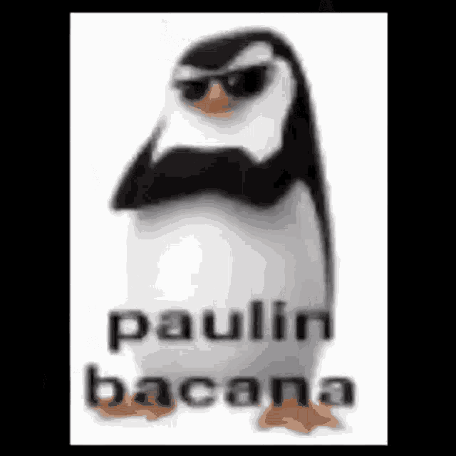 Paulin Bacana GIF - Paulin Bacana GIFs