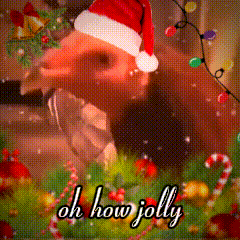 a picture of a pig wearing a santa hat with the words oh how jolly