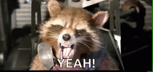 Rocket Raccoon Yeah GIF - Rocket Raccoon Yeah Guardians Of The Galaxy GIFs