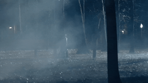 a person is walking through a foggy forest