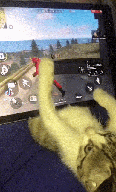 a cat is playing a video game on a tablet with tiktok written on the screen