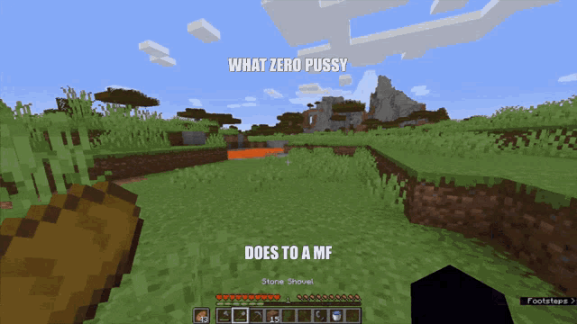 a screenshot of a minecraft game with the words what zero pussy does to a mf