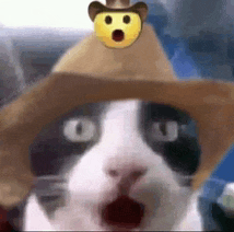 a cat wearing a cowboy hat with a smiley face on it .