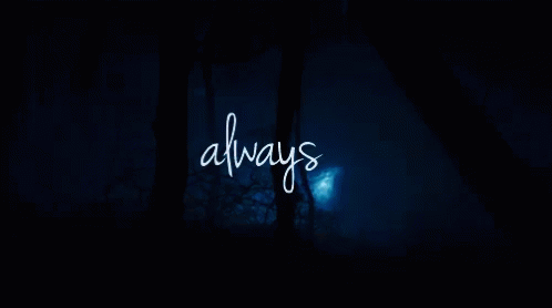 Always Harry Potter GIF - Always Harry Potter Protect GIFs
